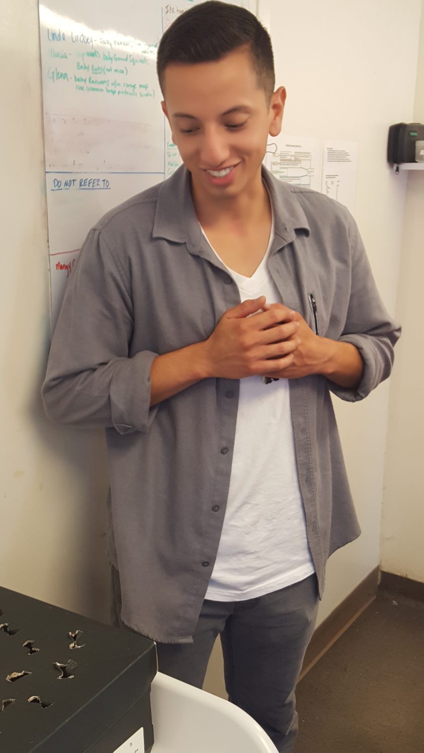 Being an Intern at CWC | California Wildlife Center