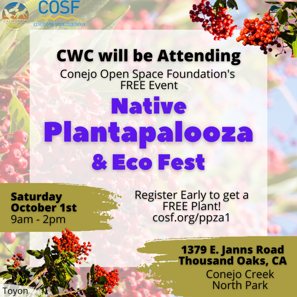 Plantapalooza | California Wildlife Center