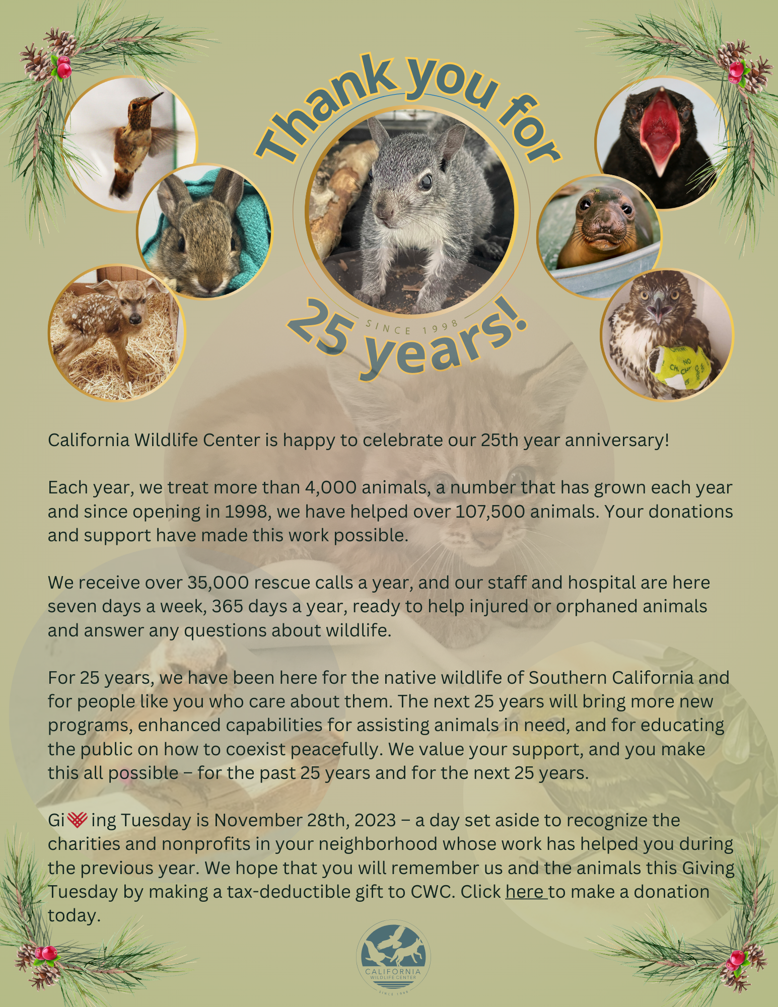 https://cawildlife.org/wp-content/uploads/2023/11/GIVING-TUESDAY-LANDING-PAGE.png