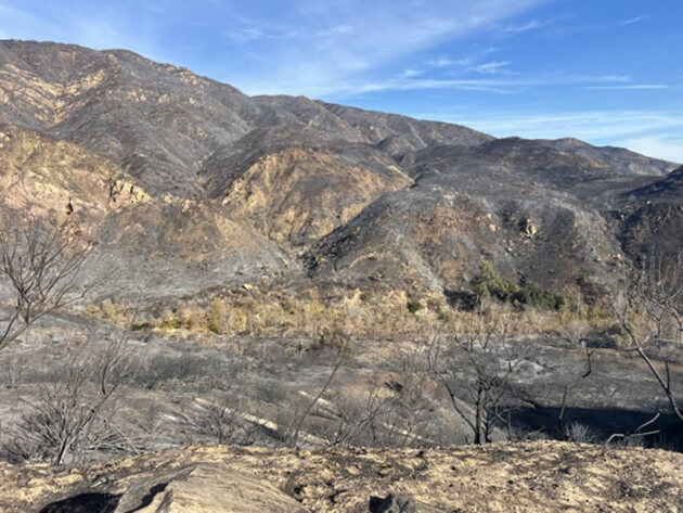 Burn scar from fire in the Santa Monica Mountains