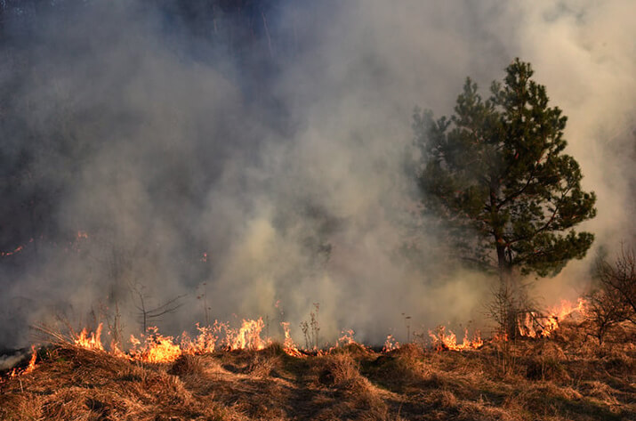 LA County wildfire