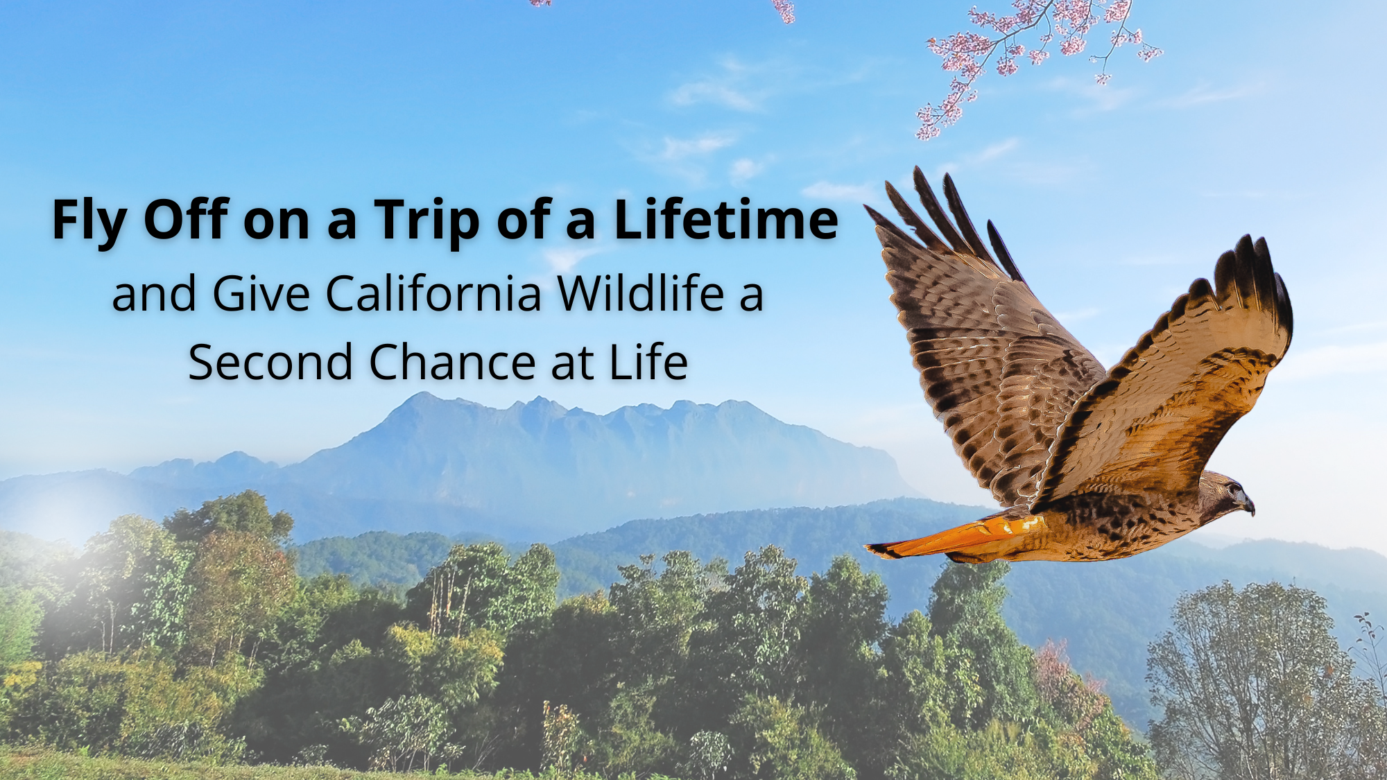 AmFund Banner Trip of a Lifetime 2023 (16 x 9 in) (1)