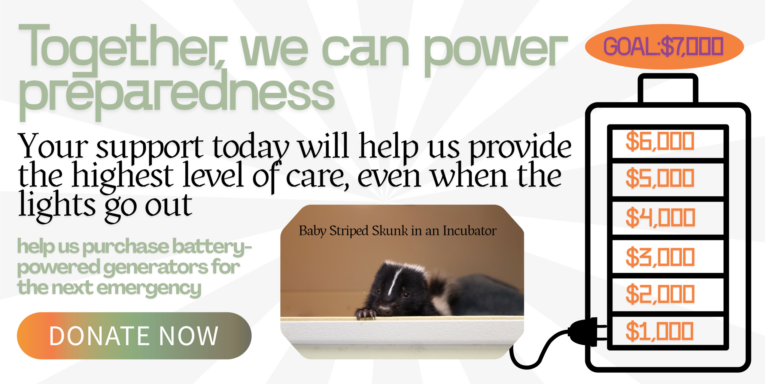 Generator Banner (1)